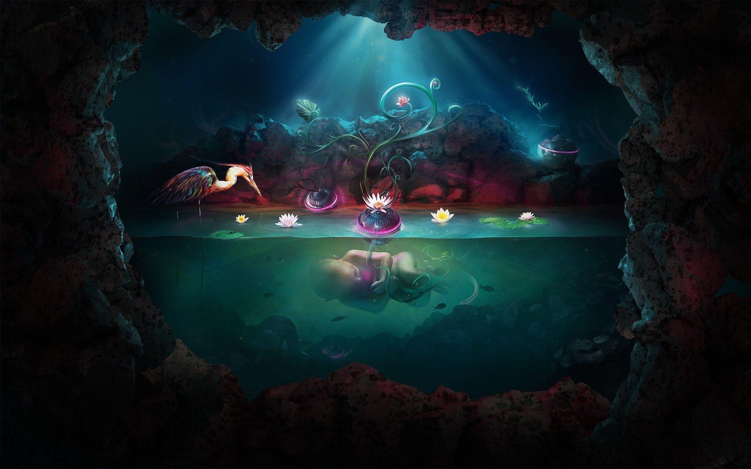 2560x1600 Fantasy 4K wallpaper for your desktop or mobile screen free