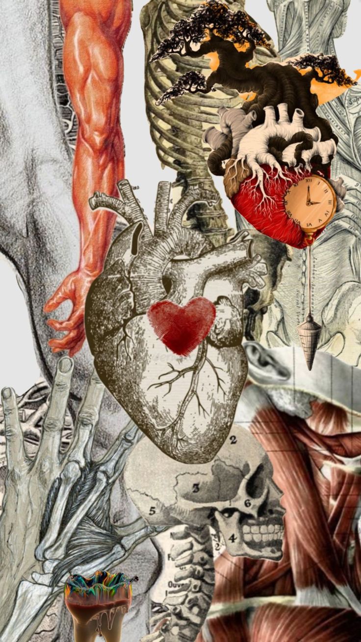 736x1308 Medical wallpaper aesthetic. Anatomy and physiology wallpaper, Medical art, Cardiology