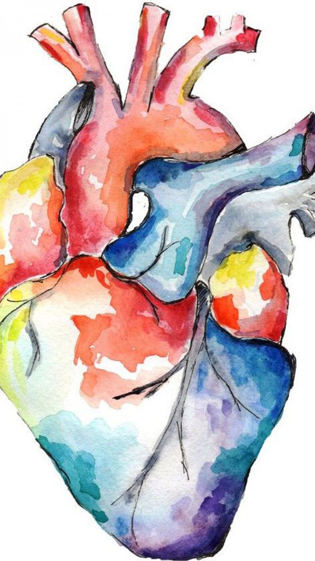 1080x1920 Heart Drawing In White Background HD Medical Art Wallpaper