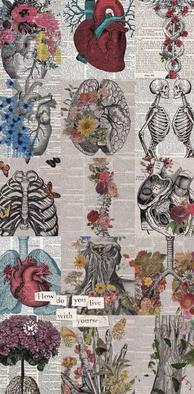 630x1280 Human Anatomy wallpaper