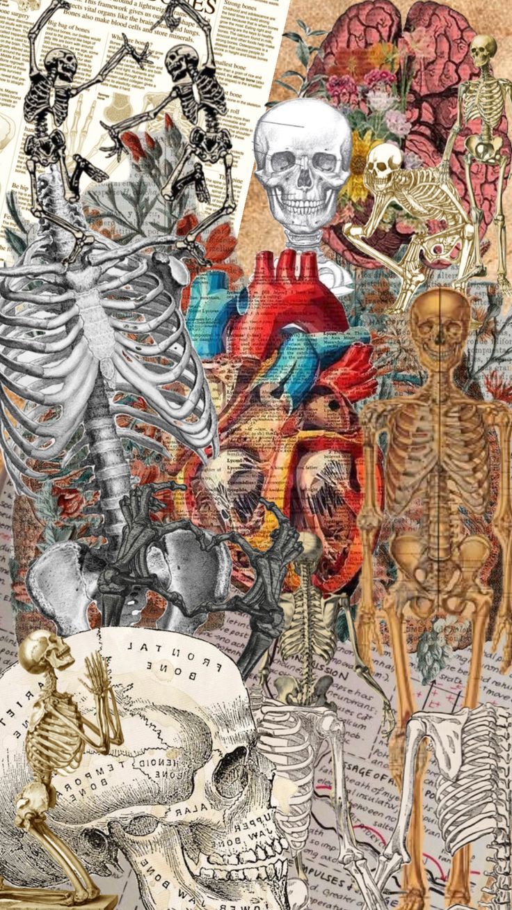736x1308 Check out amibiquiz's Shuffles. Vintage medical art, Medical artwork, Medical wallpaper