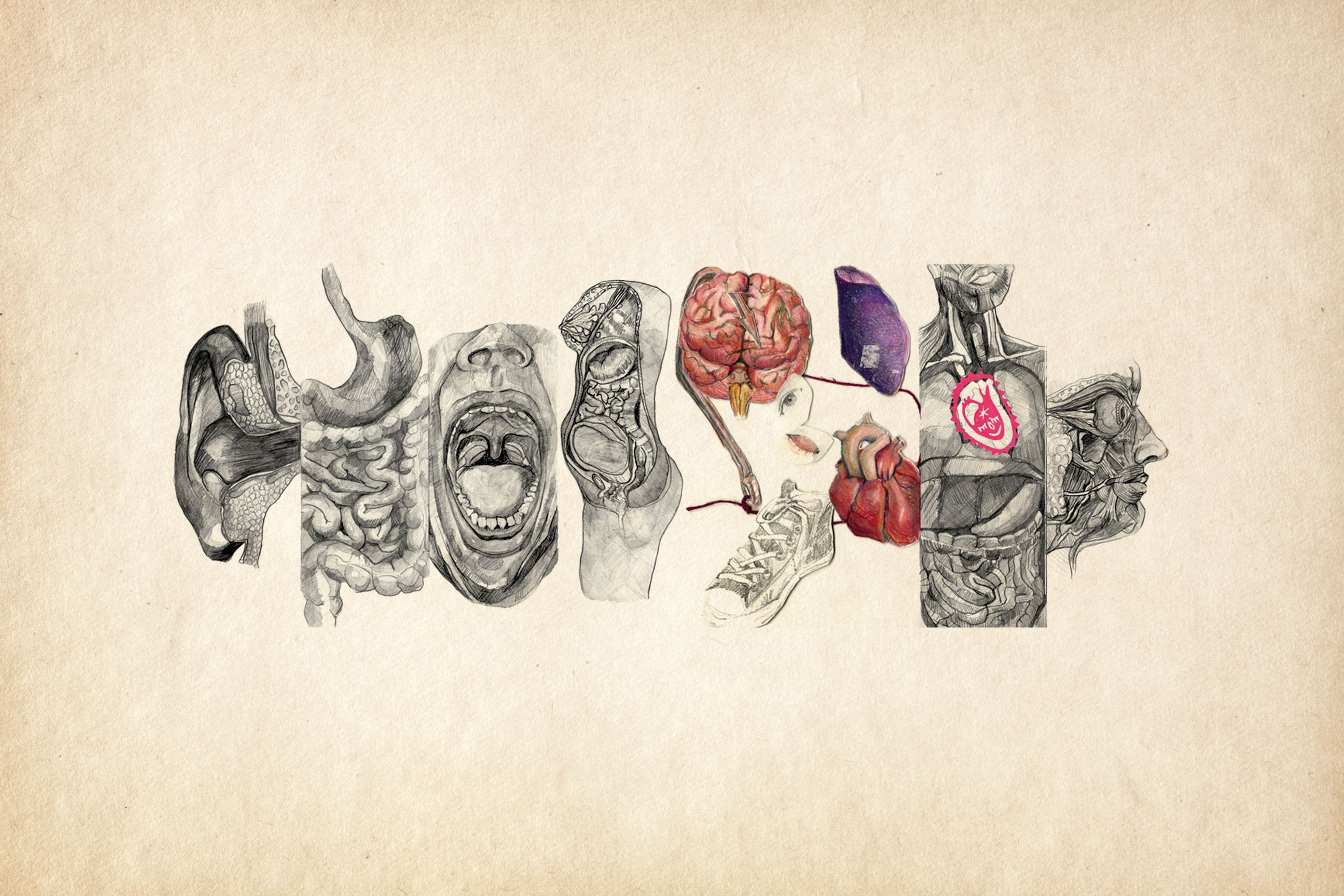 2700x1800 Sarah Berman's Medical Illustrations Blend Spirituality and Science