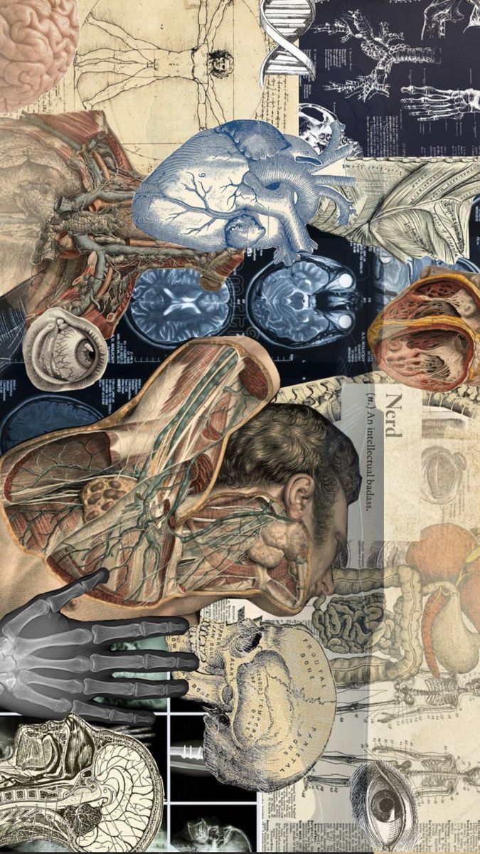 675x1200 Med surg wallpaper. Anatomy wallpaper laptop, iPad wallpaper aesthetic biology, Vintage medical art