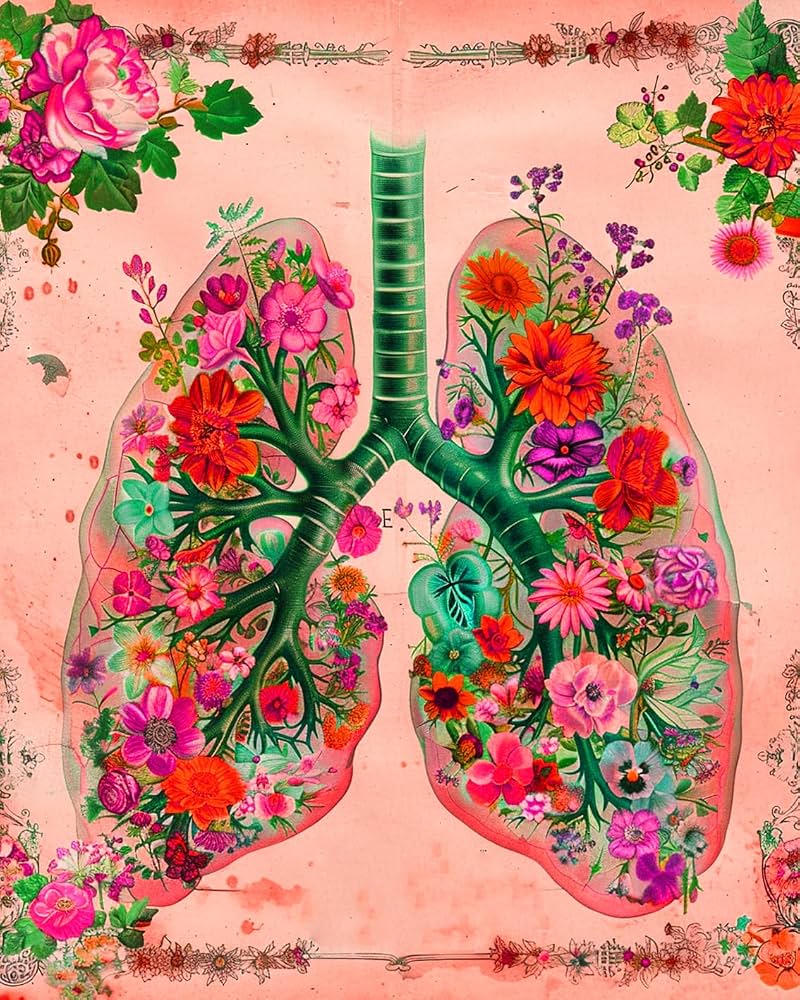 800x1000 Aihonmin Vintage Lung Anatom Paint by Number for Adults, Medical Wall Decor, Unique Gift for Nurse Doctor Respiratory Therapist, Clinic Bedroom Wellness Without Framed Room 16x20 inch