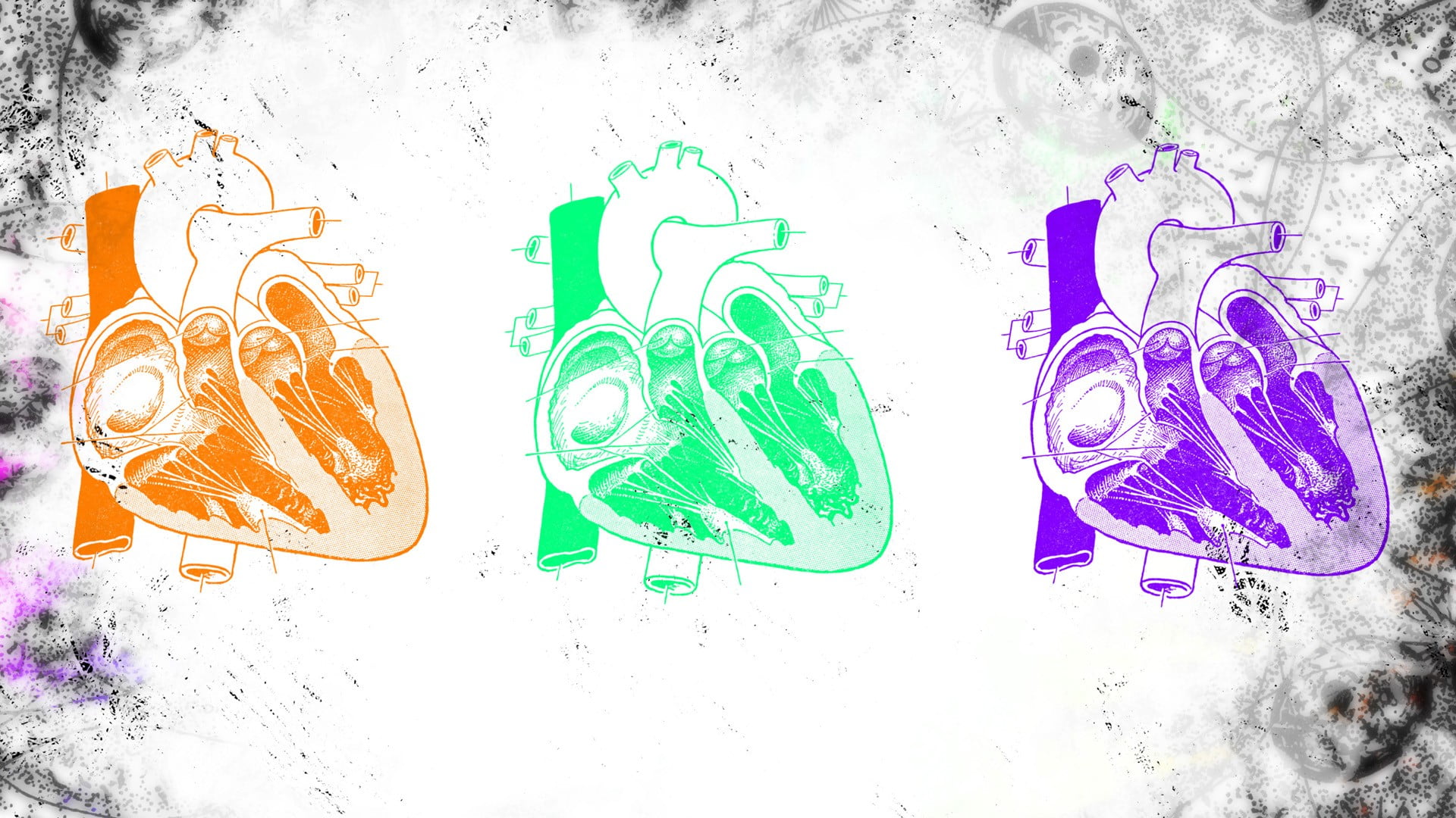 1920x1080 Anatomy of man sketch, biology, science, medicine HD wallpaper