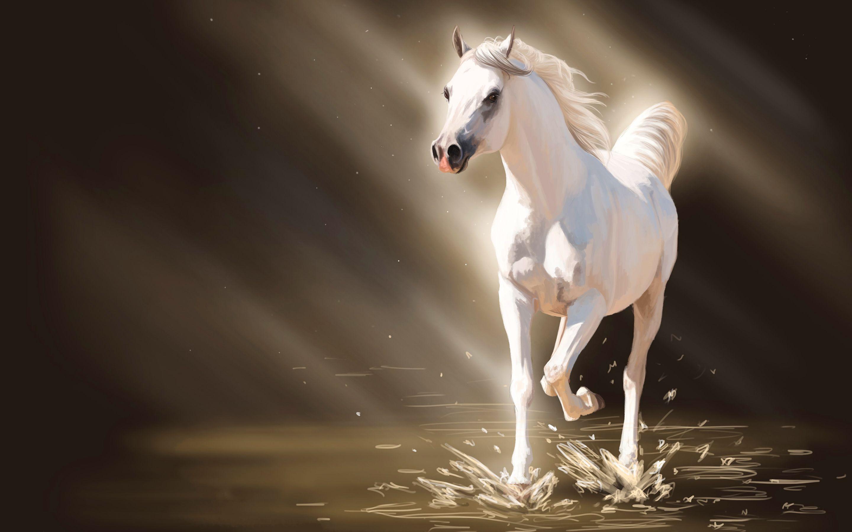 Horse Painting Wallpapers Top Free Horse Painting Backgrounds