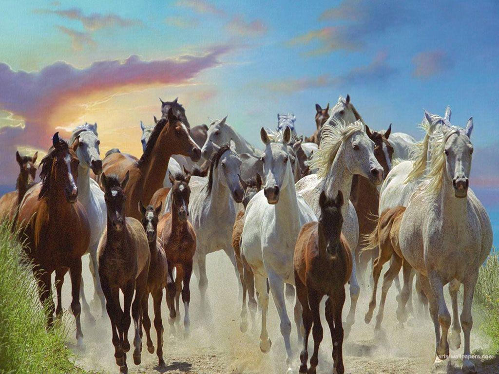 1024x768 Free download Horse Paintings Art Horse Art Wallpaper Painting