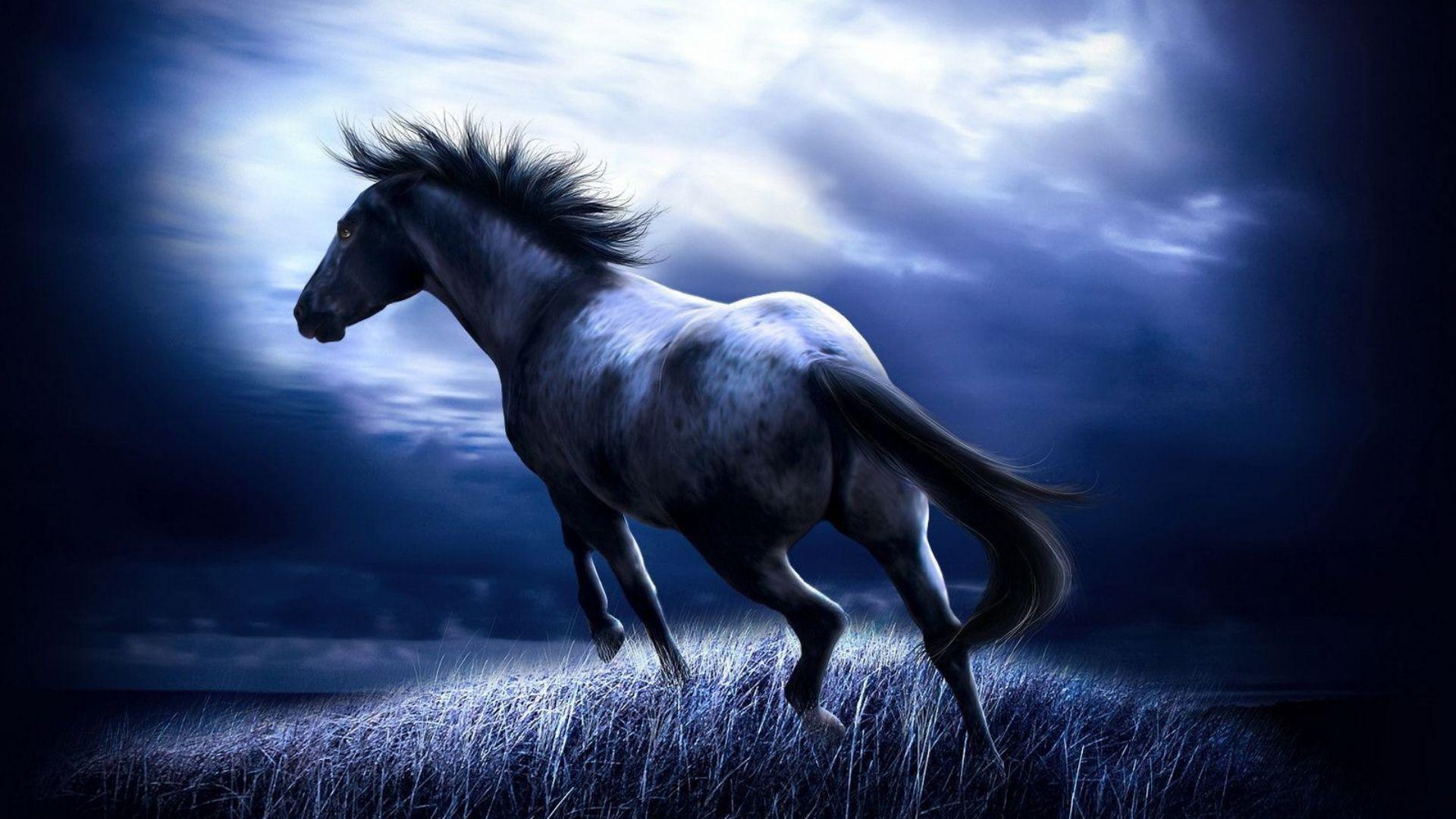1920x1080 Horse black art painting fantasy wallpaperx1080