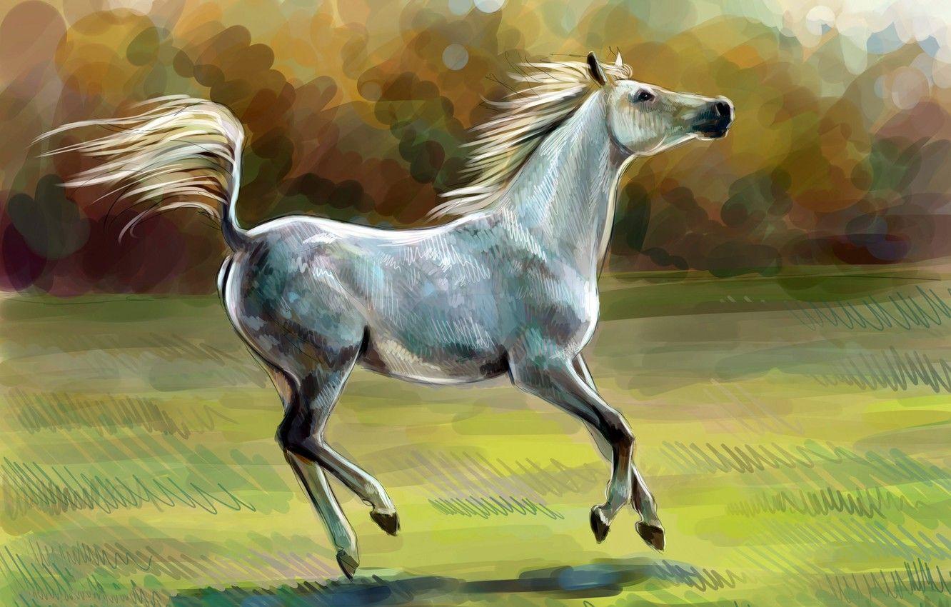 1332x850 Wallpaper horse, horse, oil, art, watercolor, pencil, painting