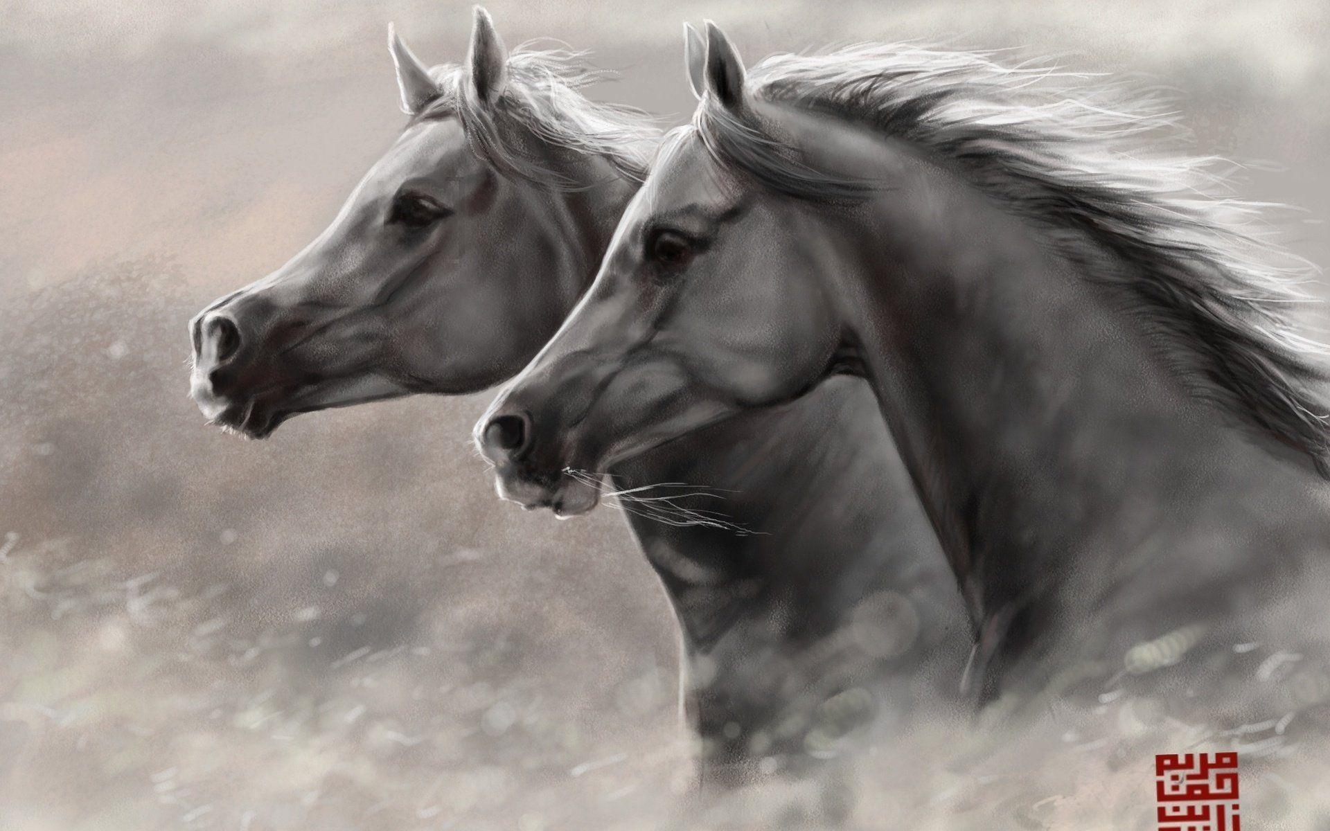 1920x1200 couple, Art, Horses, Running, Head, Horses, Beauty, Animal