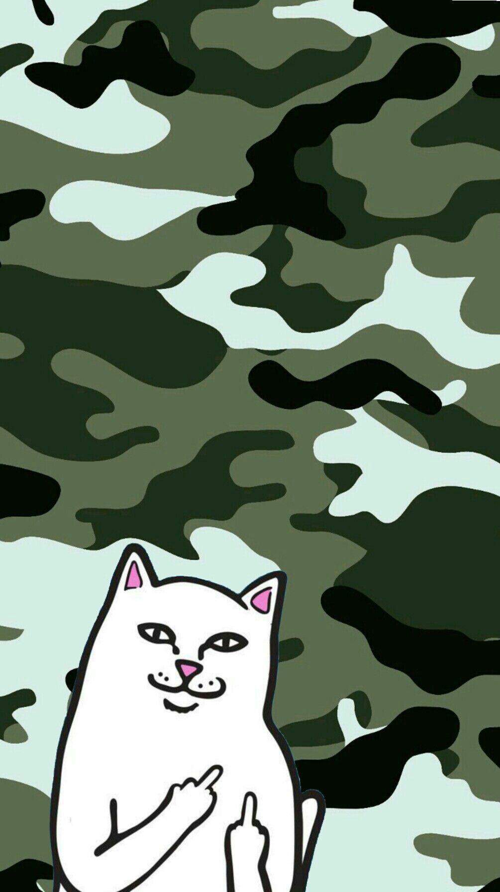 1005x1792 iPhone X Background 4K