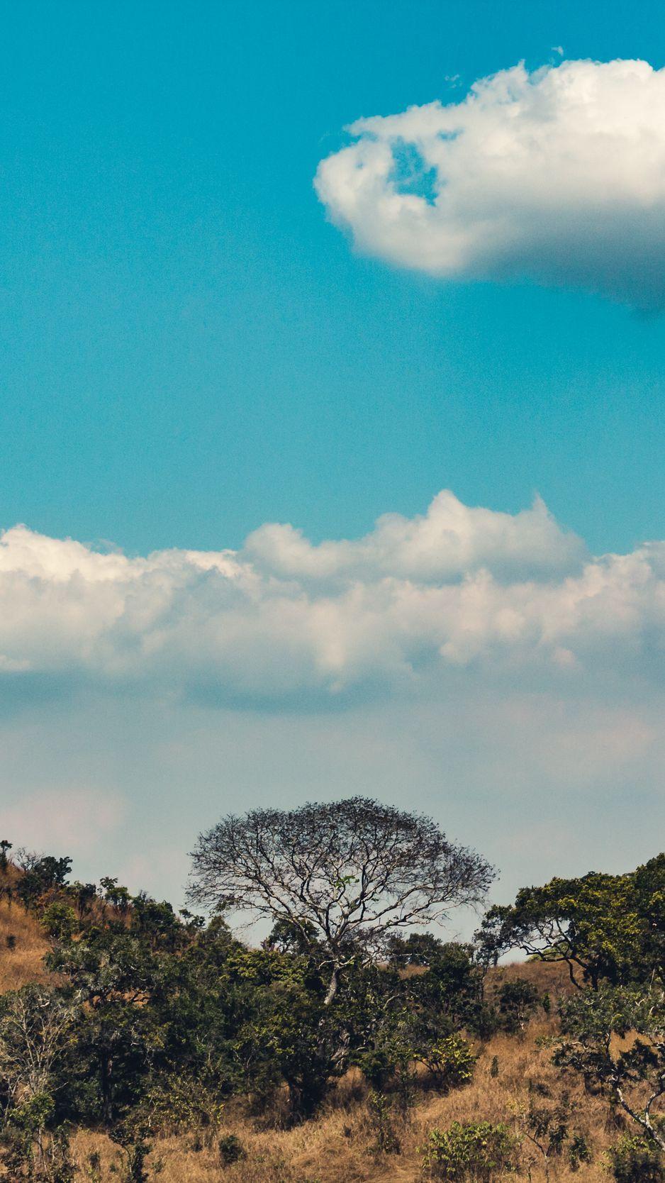 938x1668 Download wallpaper 938x1668 africa, hills, trees, clouds iphone 8