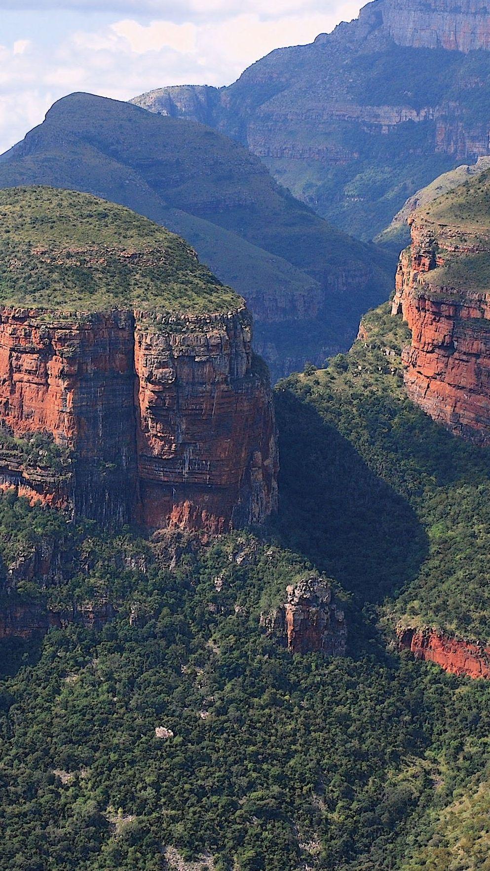 993x1765 Free download South Africa Forest Mountains iPhone Wallpaper