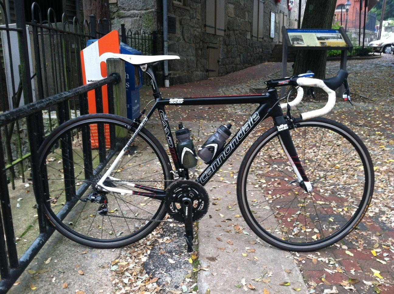 1296x968 Cannondale Caad10 Track Grn Cute Cat Wallpaper (มีรูปภาพ)