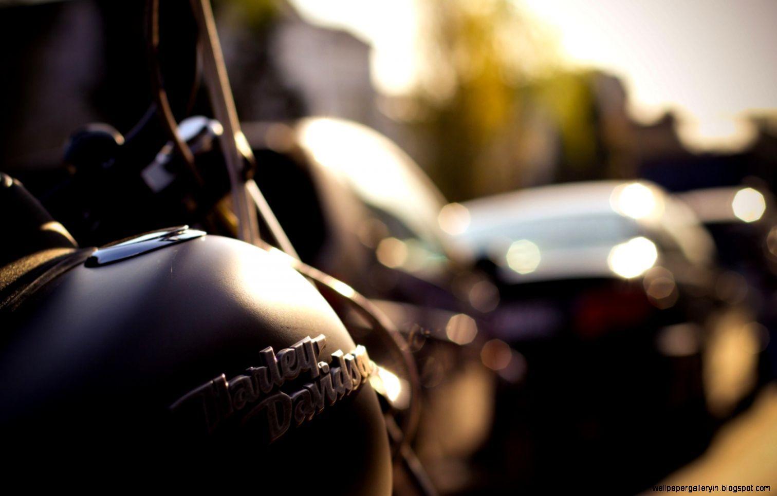 1512x966 Street Macro Photography HD Wallpaper