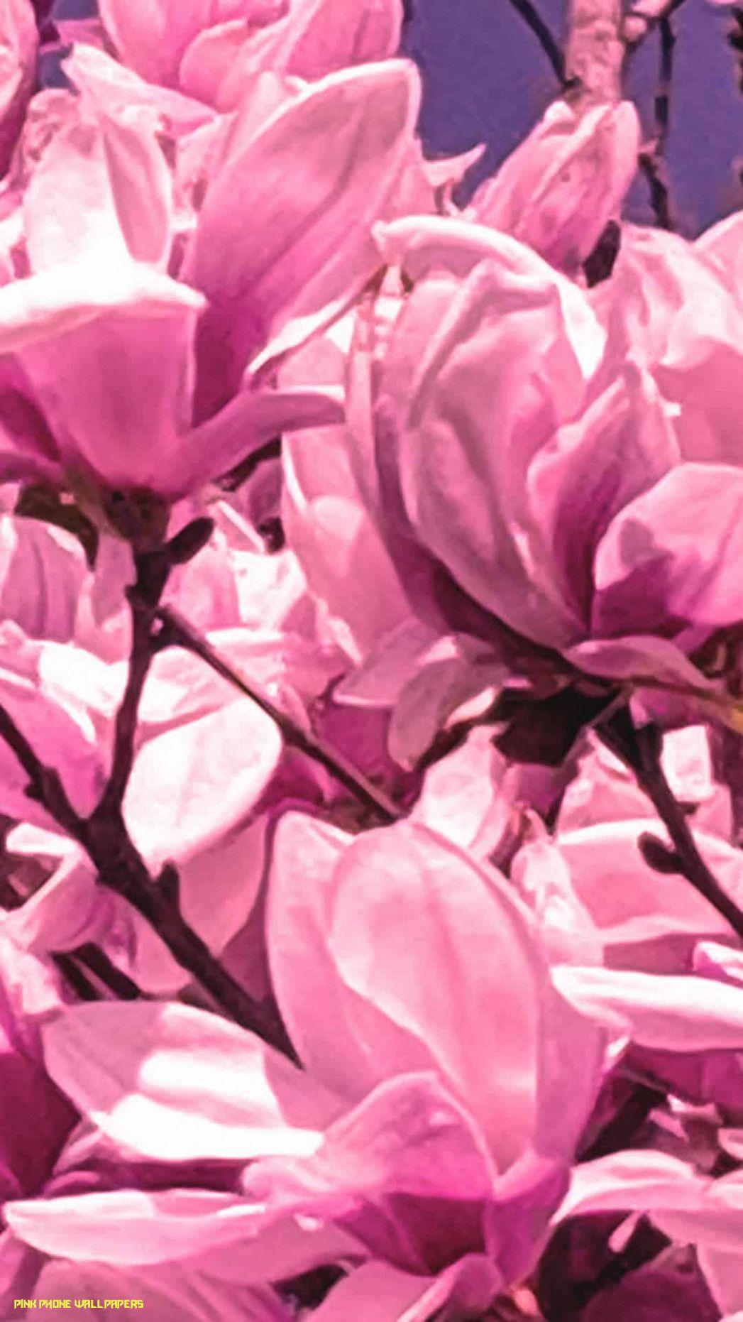 1047x1862 Spring Background For Your Phone! Spring Wallpaper HD Quality