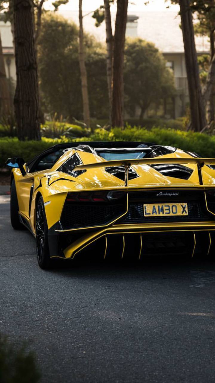 720x1280 Aventador SV wallpaper