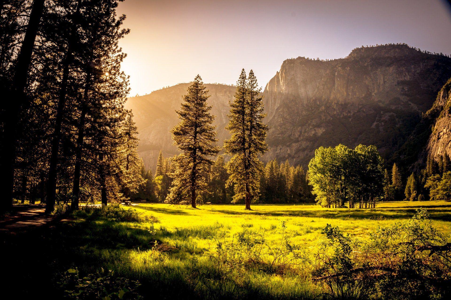 1920x1275 Stunning Beautiful Forest- Mountain Wallpaper HD Free Free Wallpaper HD Wallpaper & Background Download