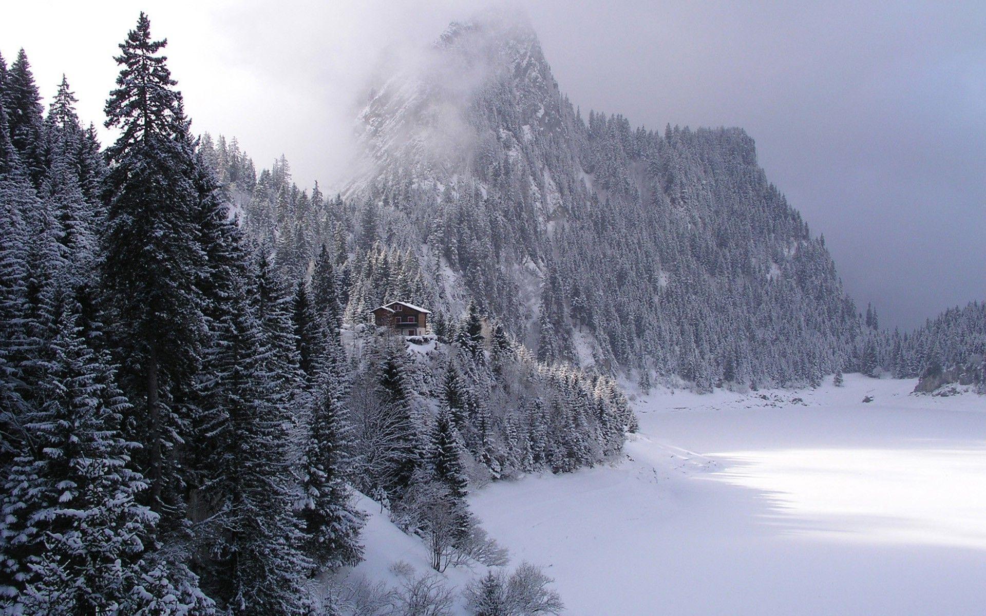 1920x1200 Winter, forest, mountain, house, snow