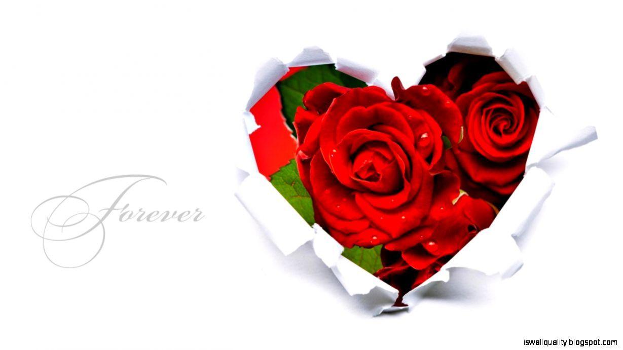 1229x691 Love Flowers Wallpaper HD