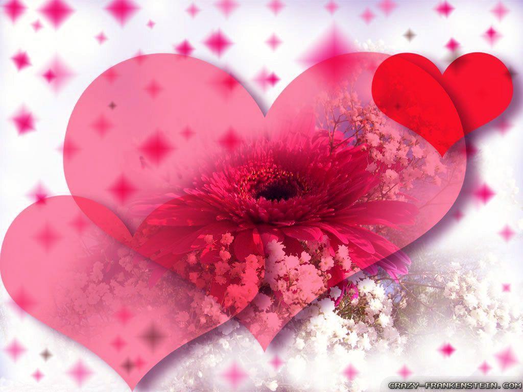 Love Flowers Wallpapers Top Free Love Flowers Backgrounds