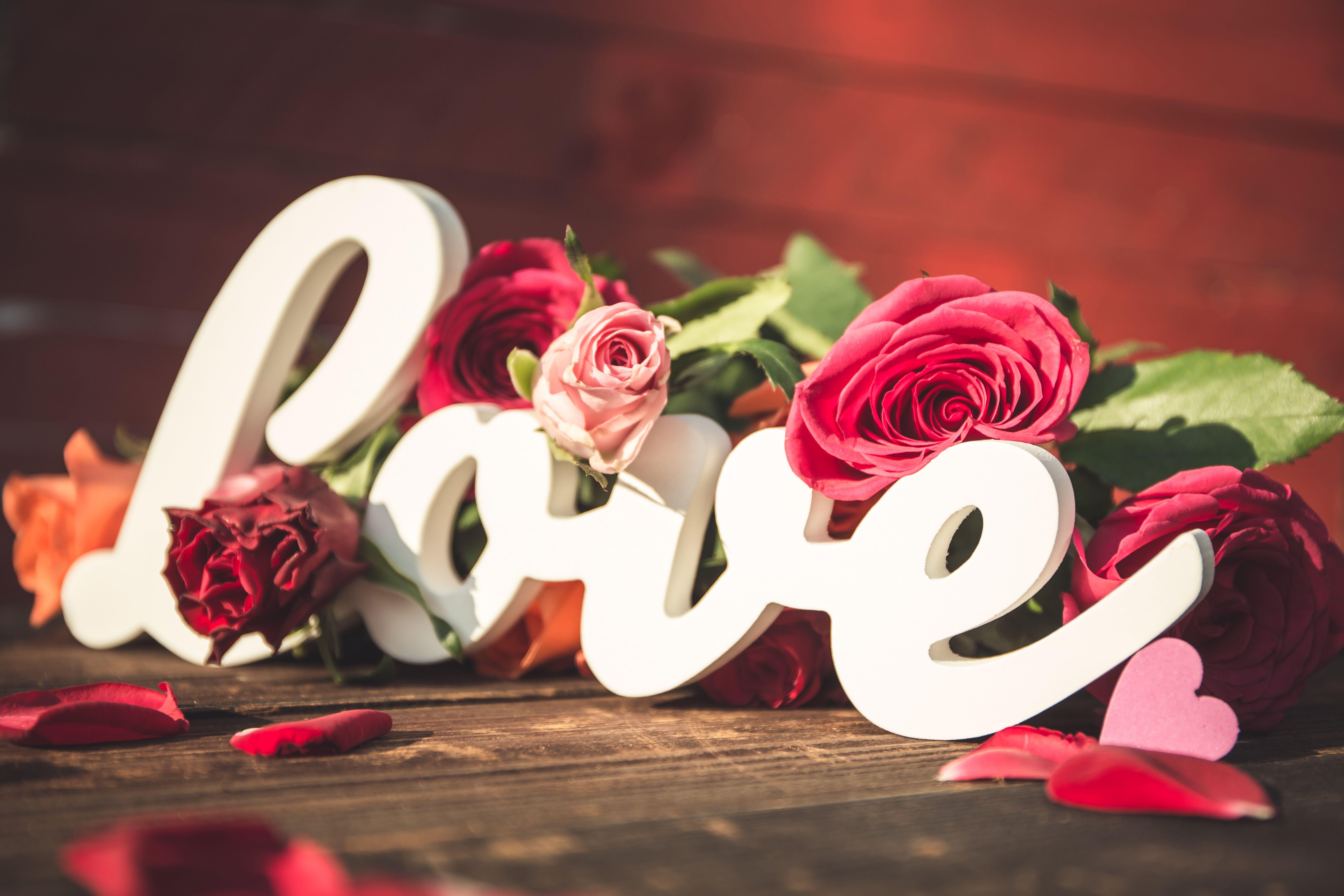 6500x4333 K, #Roses, #Love. Love wallpaper and background