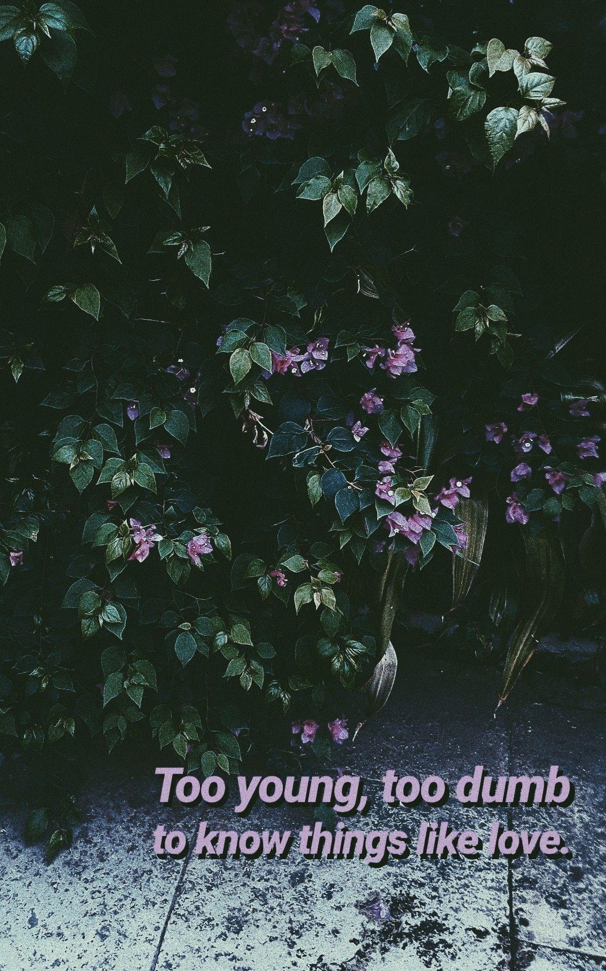 1200x1920 Grunge aesthetic love flowers wallpaper pintrest young dumb things