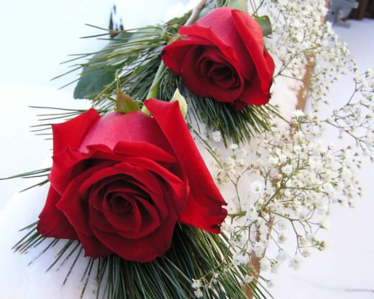 1280x1024 Love Flower HD Wallpaper Alannah Bengtsen