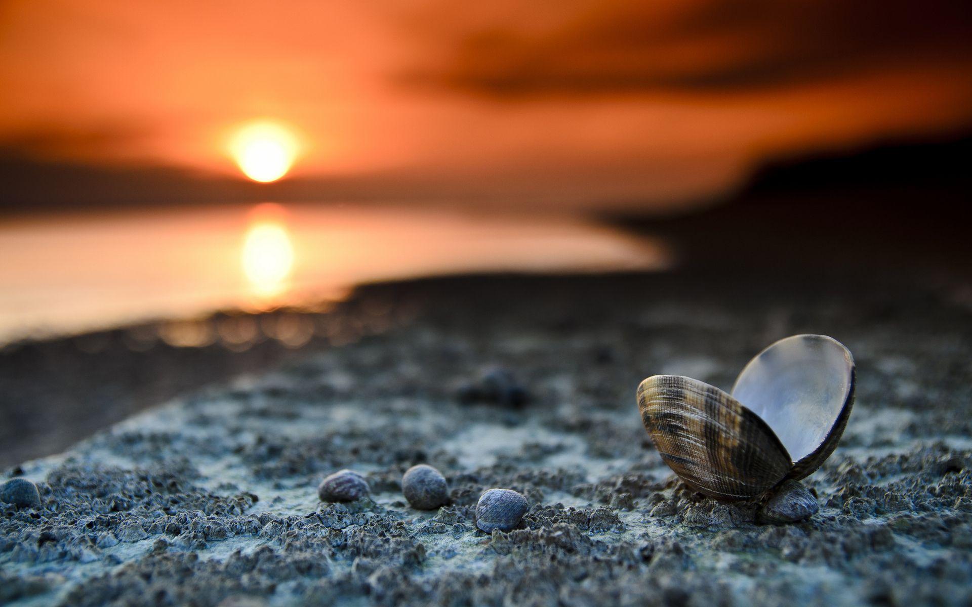 1920x1200 Cool Sunset Wallpaper
