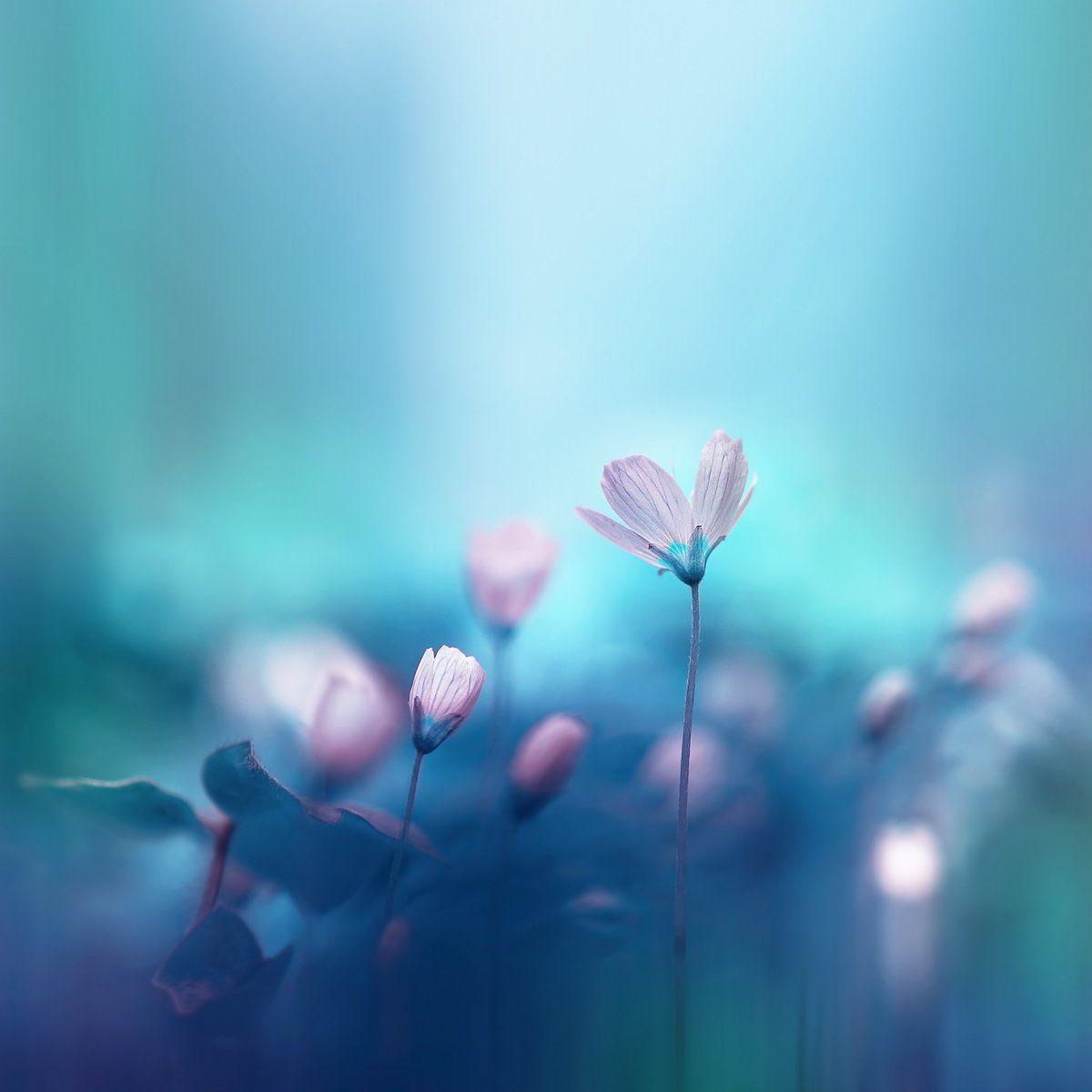 Good Mood Wallpapers Top Free Good Mood Backgrounds Wallpaperaccess