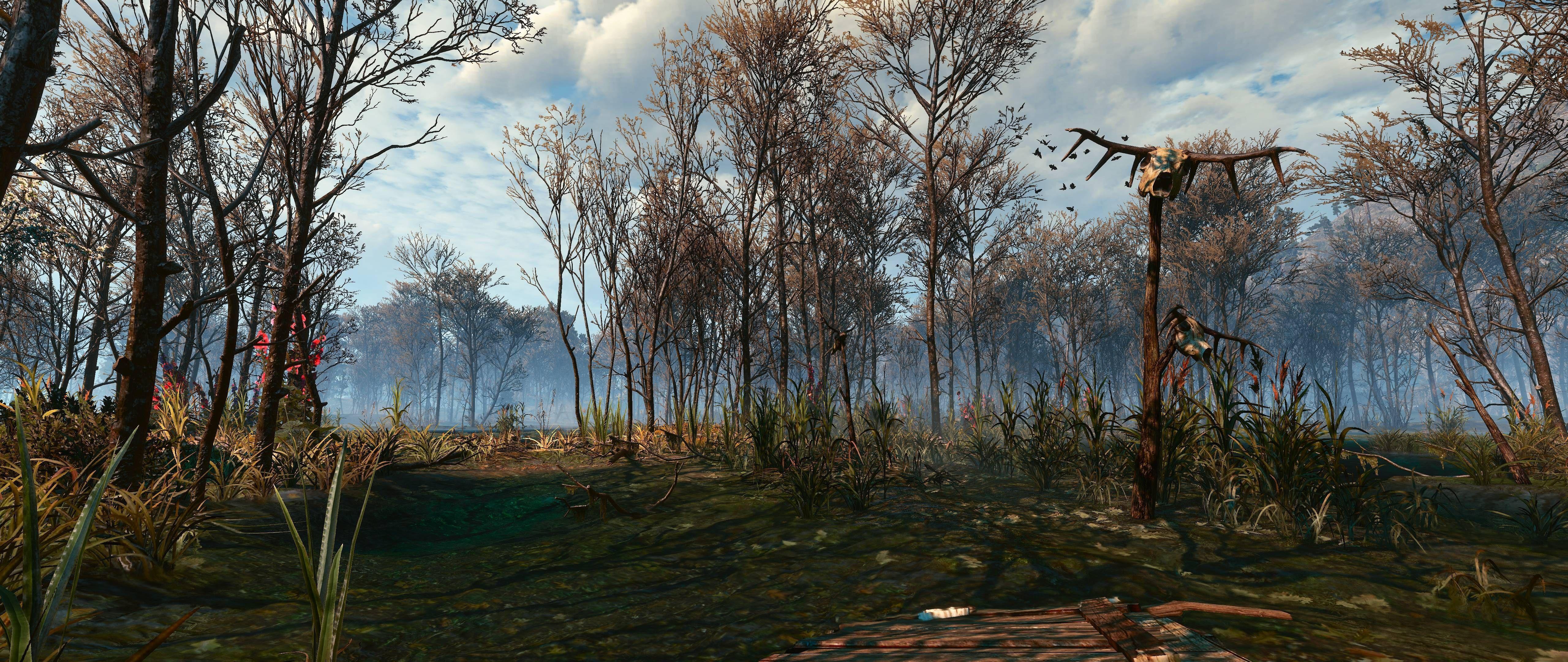 5120x2160 The Witcher 3 Ansel Super Res 21 9 Wallpaper