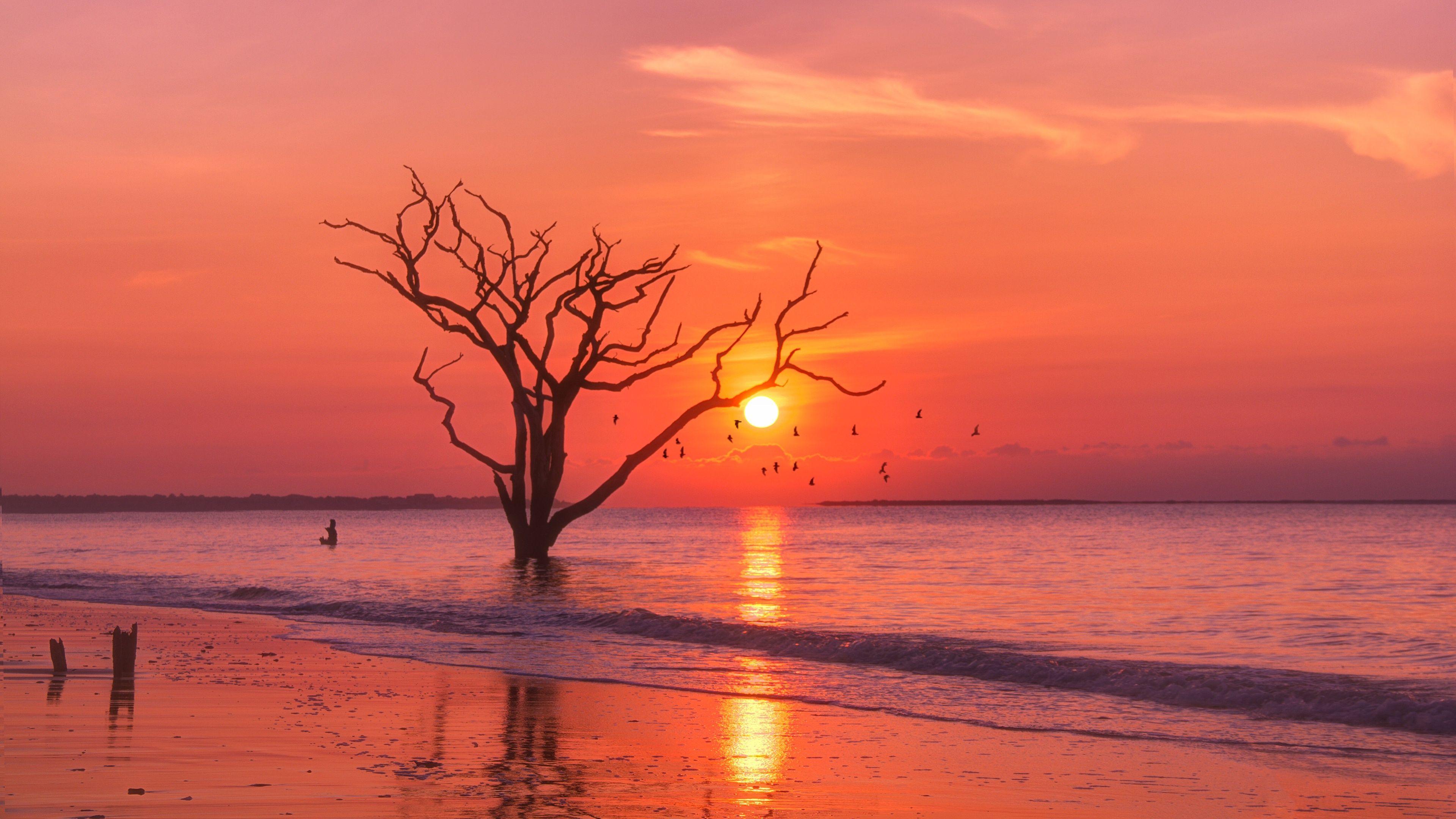 3840x2160 Trees Sunset Birds Water Body 4k, HD Nature, 4k Wallpaper, Image