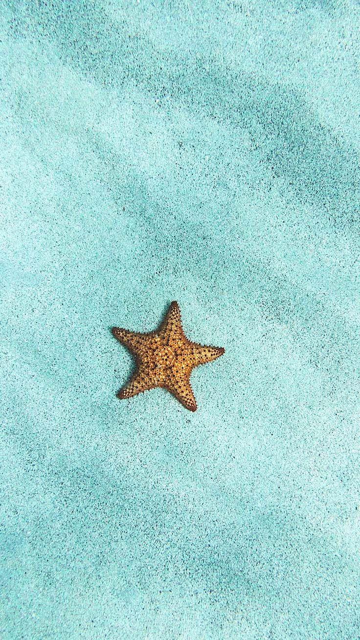 736x1308 Turquoise iPhone Wallpaper for Mermaids