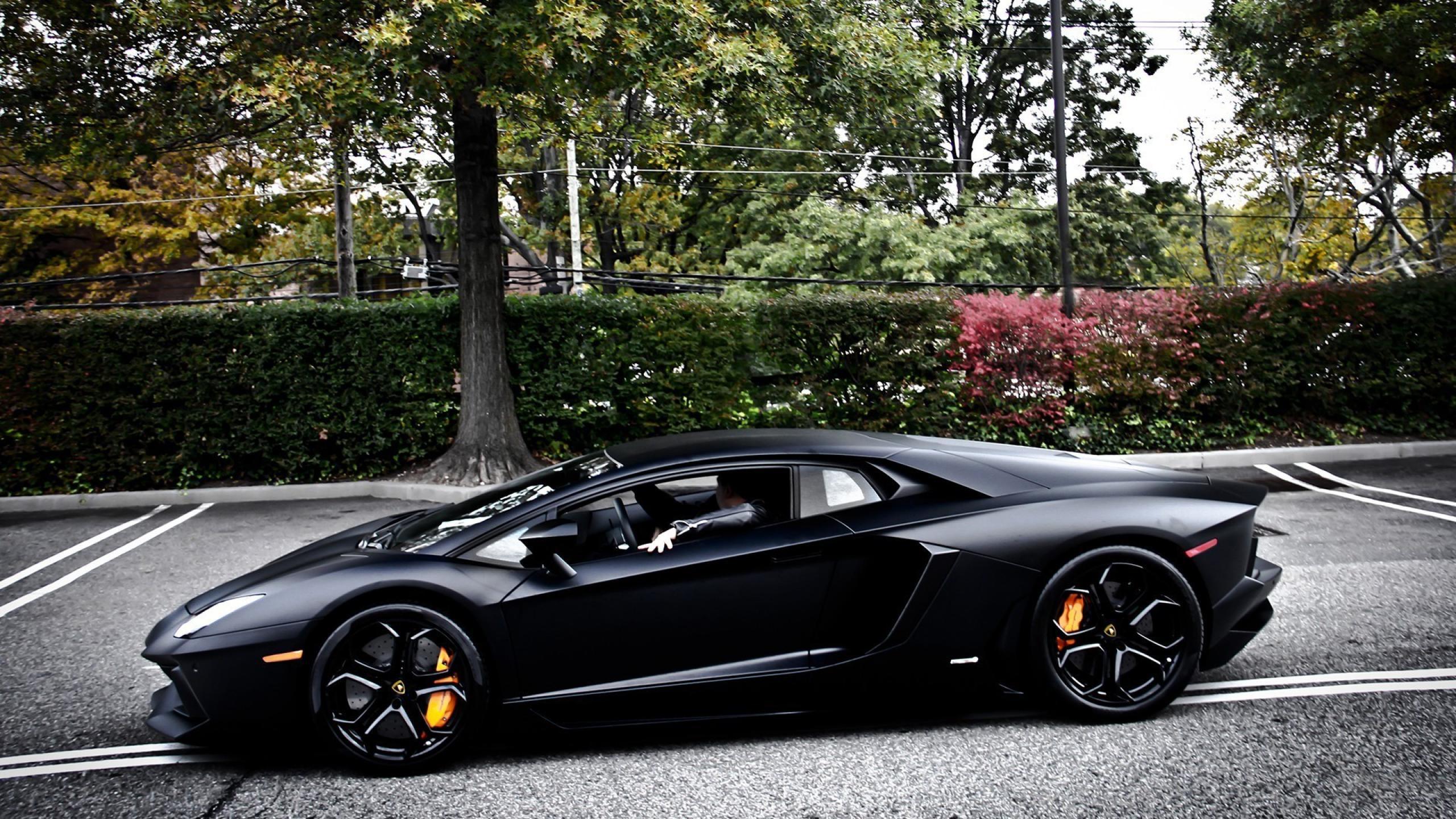 2560x1440 of Aventador 4K wallpaper for your desktop or mobile screen
