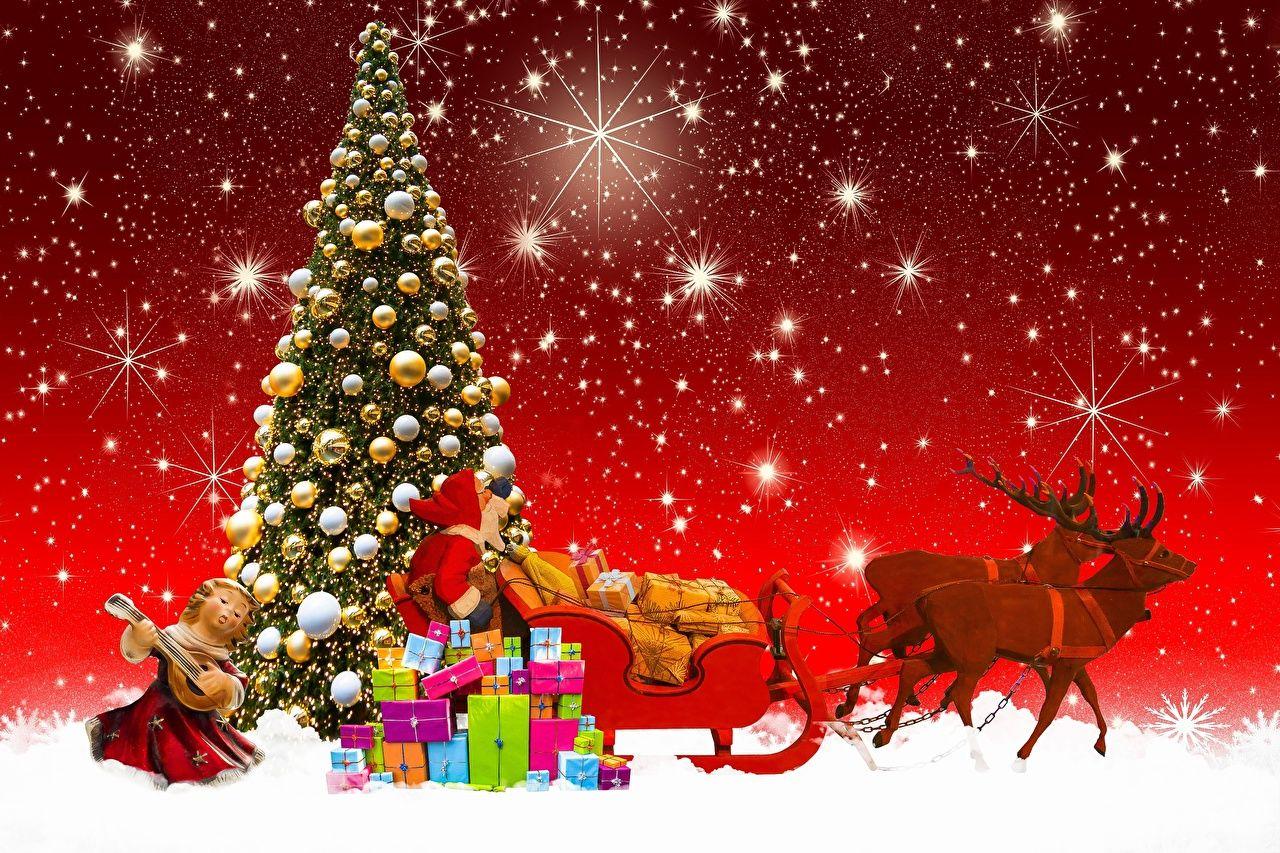 1280x853 Desktop Wallpaper Deer Christmas Sled Santa Claus Christmas tree