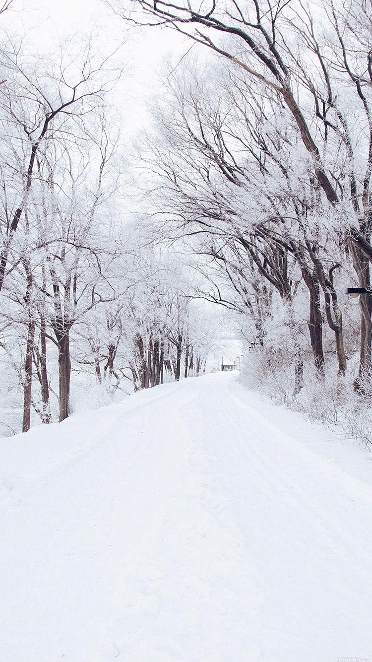 750x1334 iPhone 6 Wallpaper road romantic nature mountain snow white