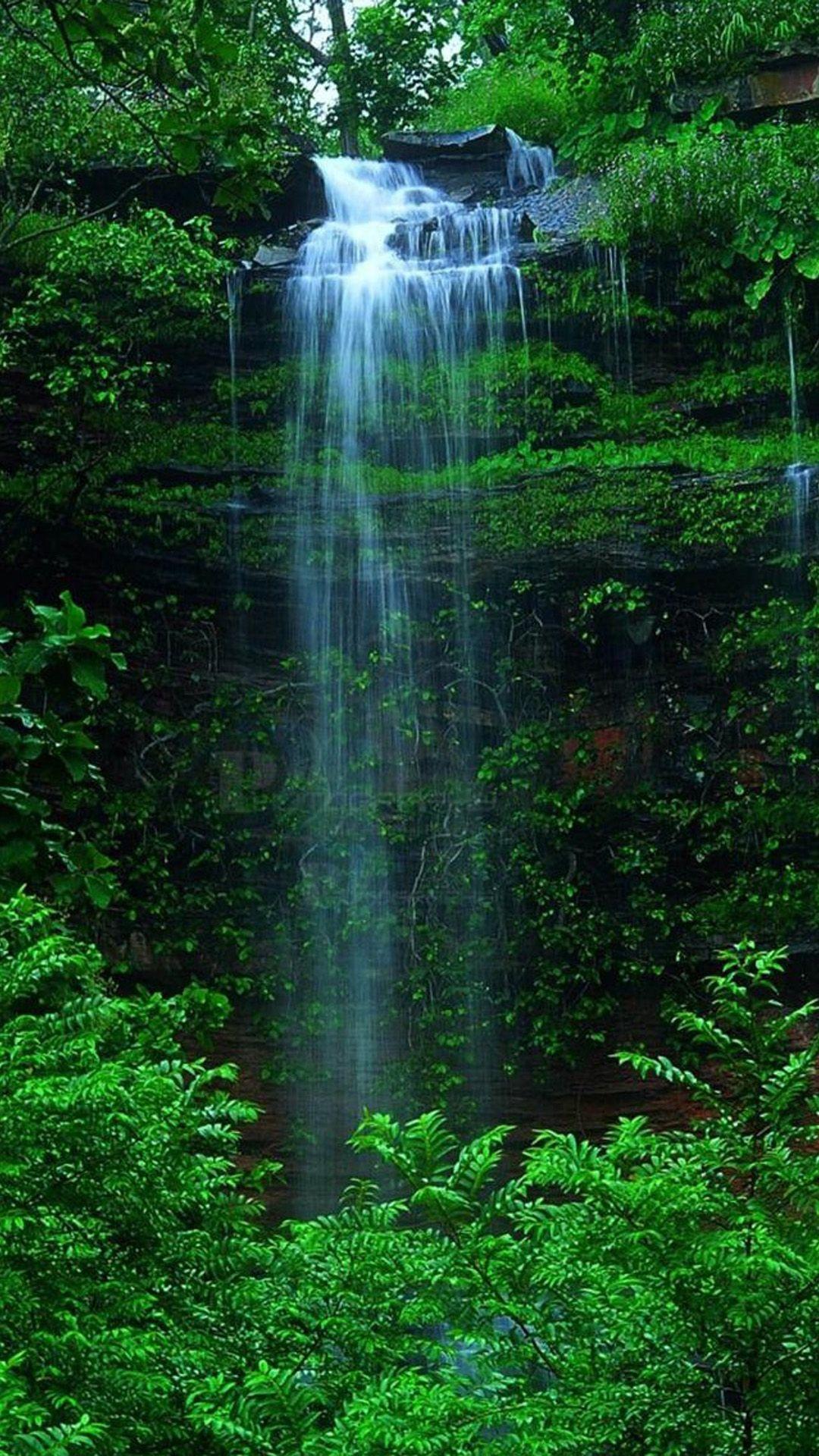 1080x1920 iPhone 6 Nature Wallpaper