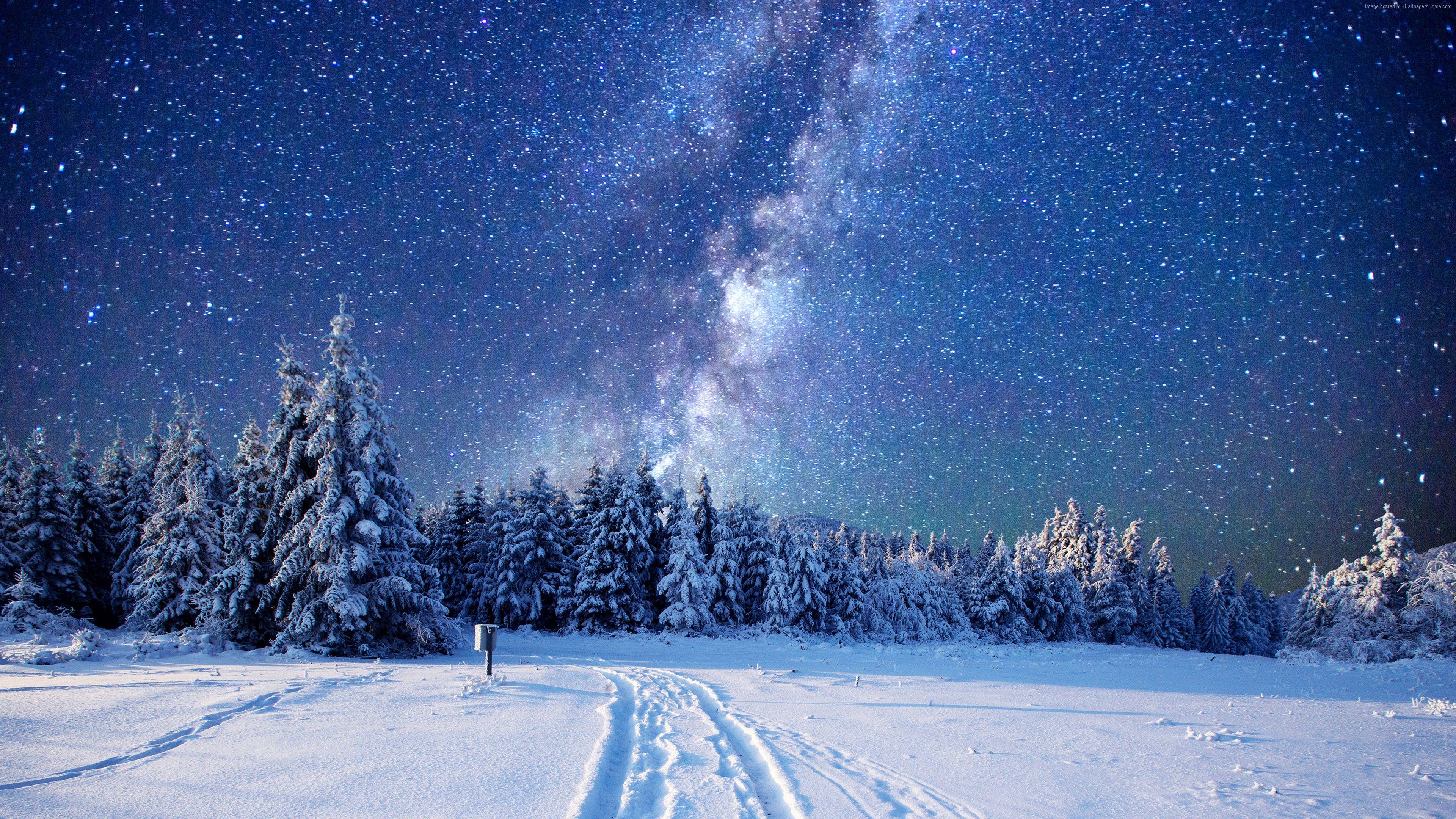 Winter Night Forest Wallpapers Top Free Winter Night Forest