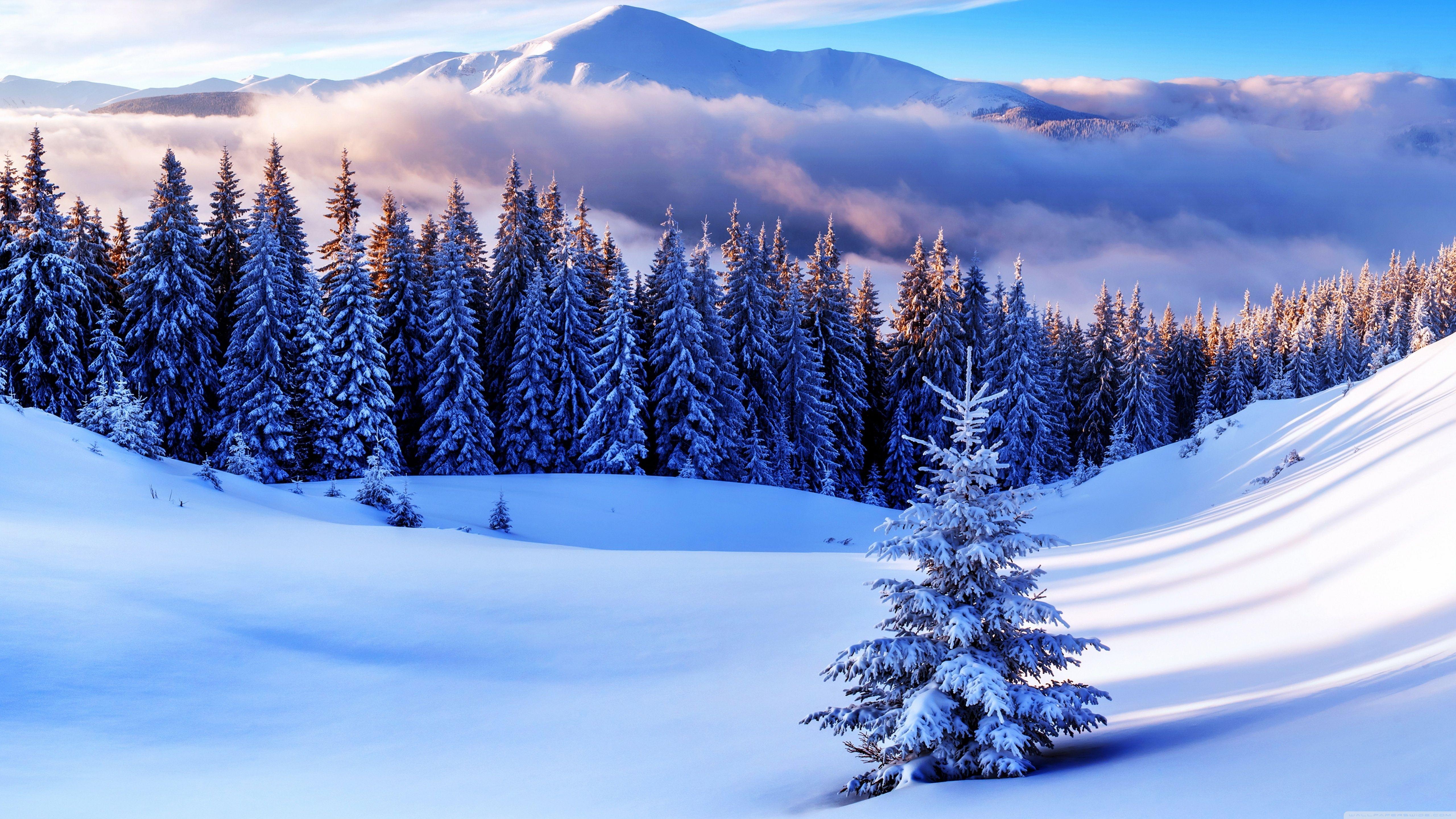 5120x2880 Winter Season, Mountains Ultra HD Desktop Background Wallpaper