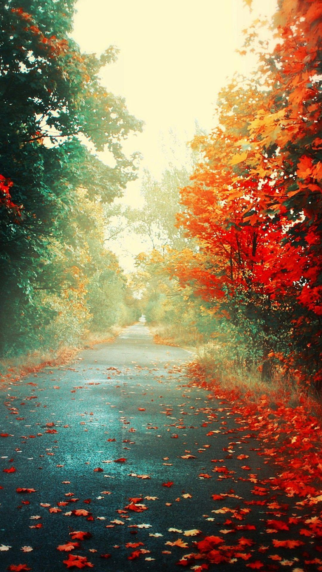 1080x1920 Fall iPhone Wallpaper