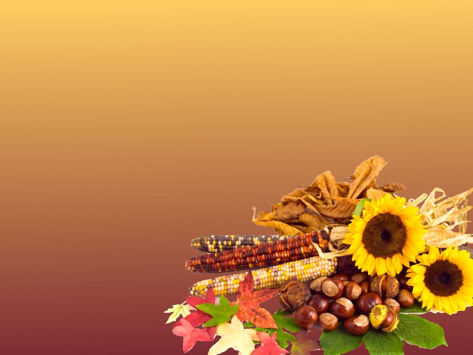 1600x1200 History of Art, История Искусства. Thanksgiving