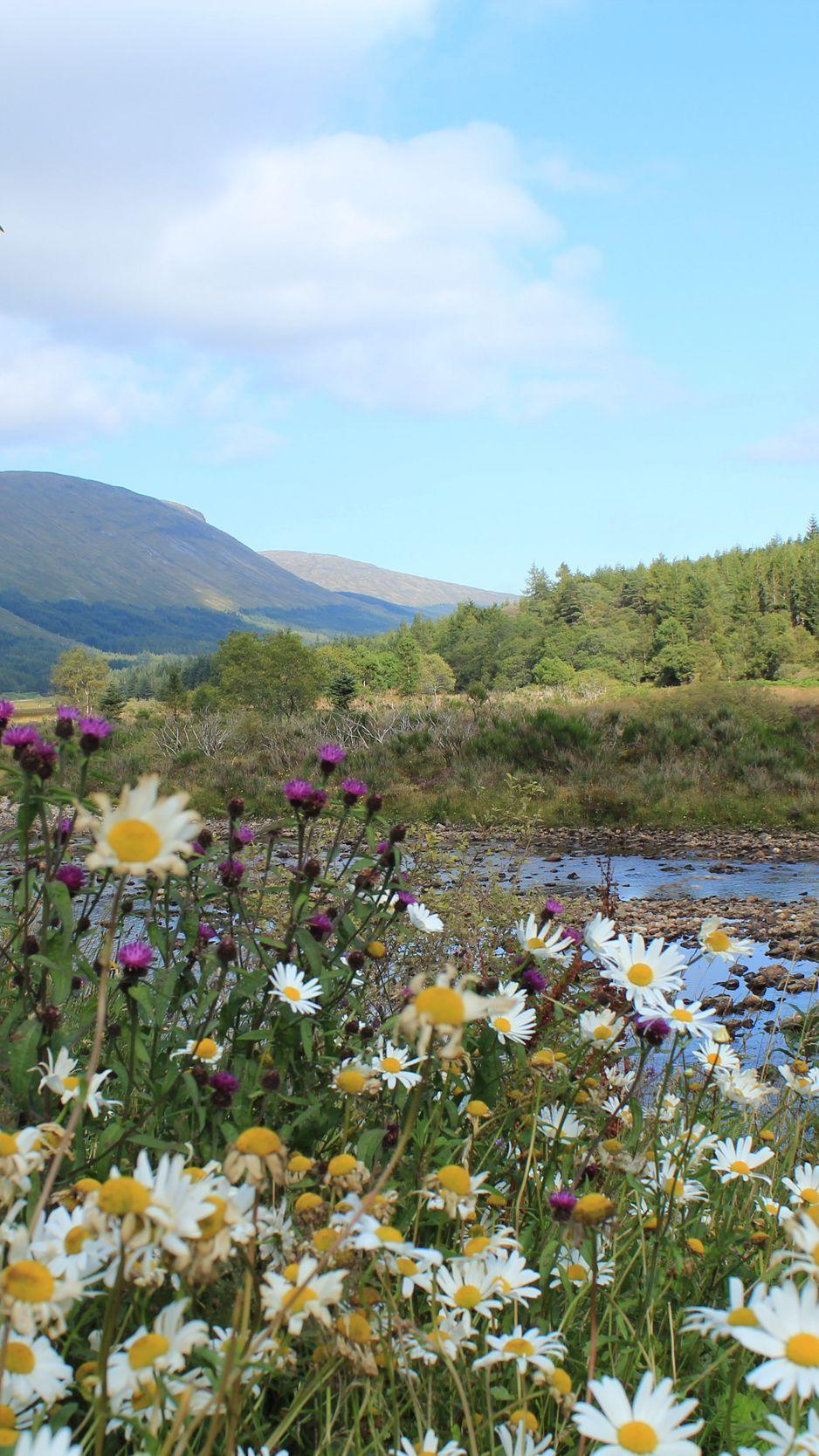 938x1668 Download wallpaper 938x1668 scotland, mountain, river, grass
