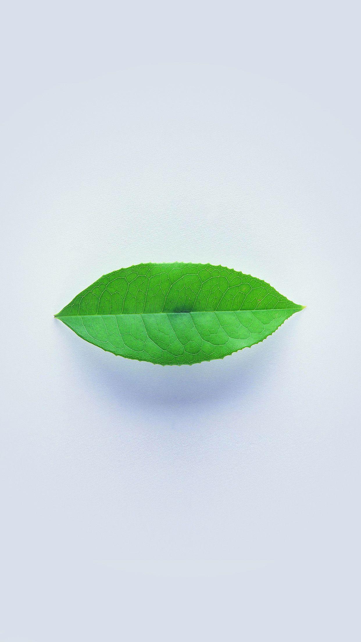 1242x2208 Misc #Minimal Green Leaf White Android Wallpaper #wallpaper HD 4k