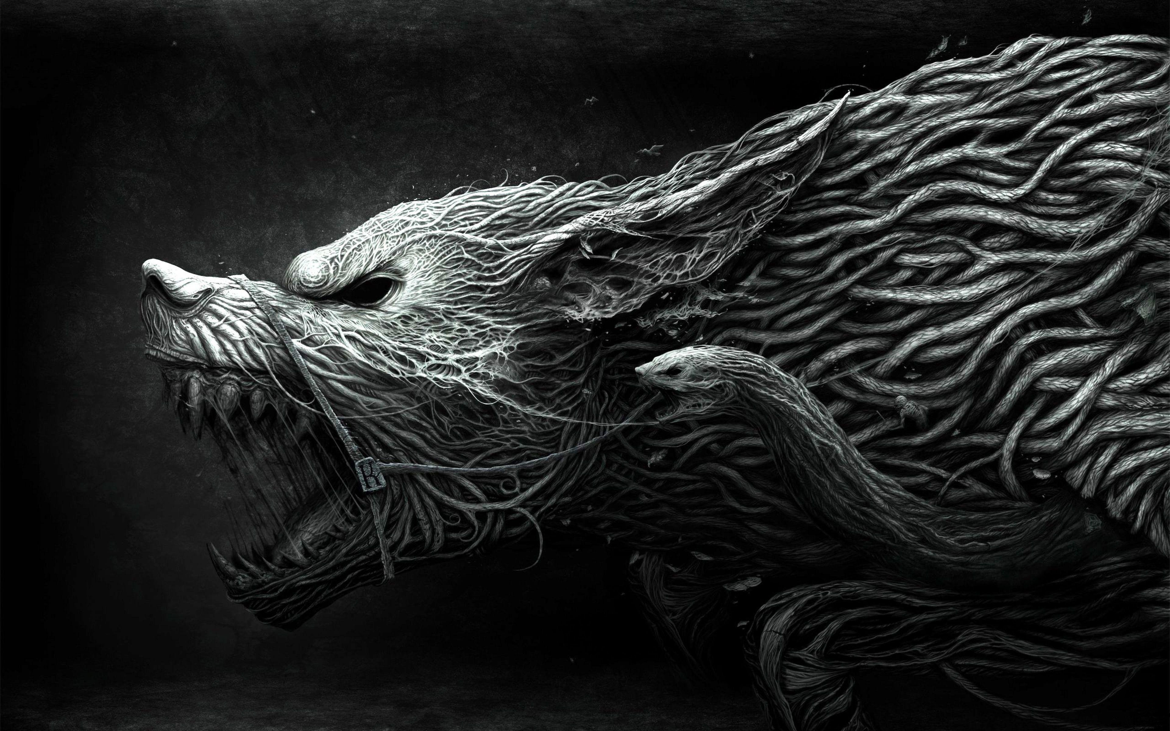 3840x2400 4K Wolf Wallpaper