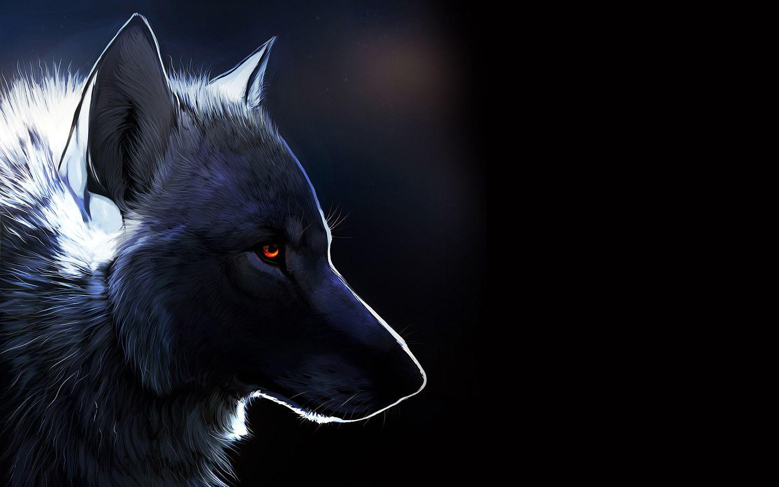 Black Wolf 4K Wallpapers - Top Free Black Wolf 4K Backgrounds ...