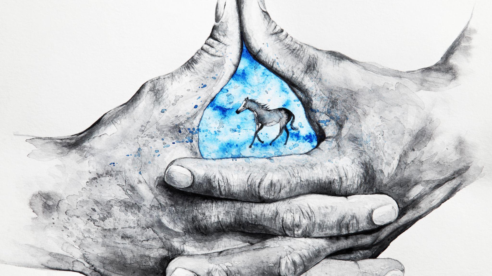 2048x1152 Download 2048x1152 wallpaper hands, fingers, horse, art, dual wide