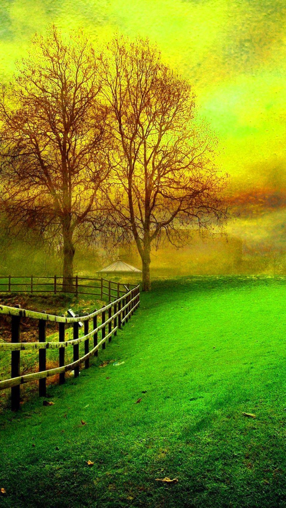 960x1707 Common Misconceptions About HD Nature Image For Desktop