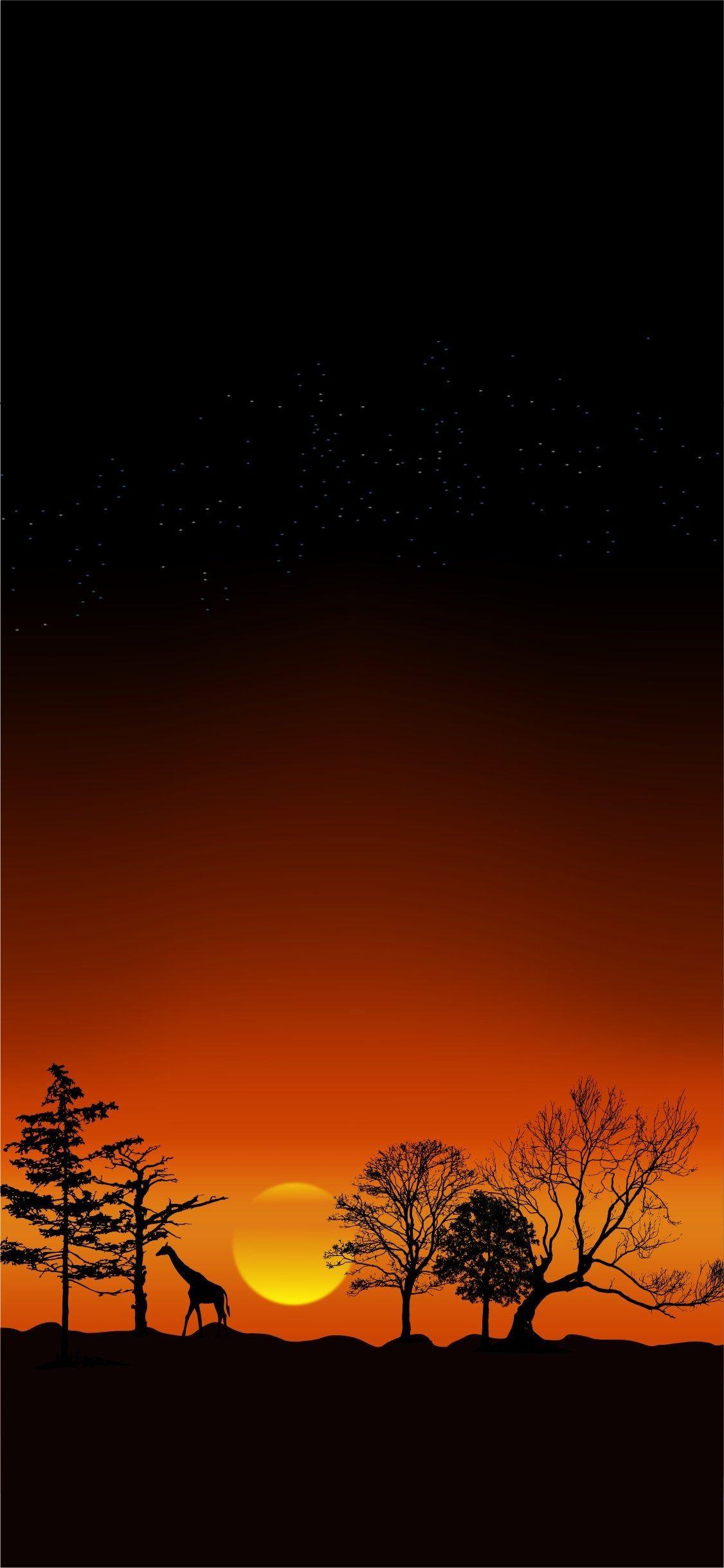 1126x2437 Africa