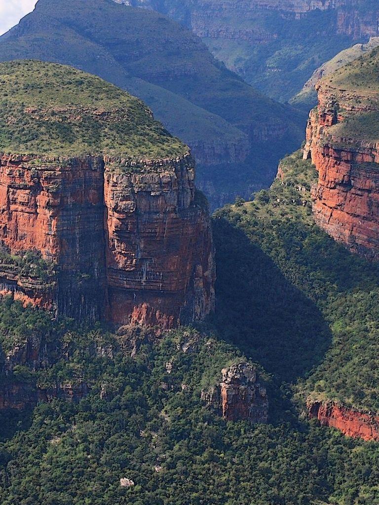 768x1024 Free download South Africa Forest Mountains iPhone Wallpaper