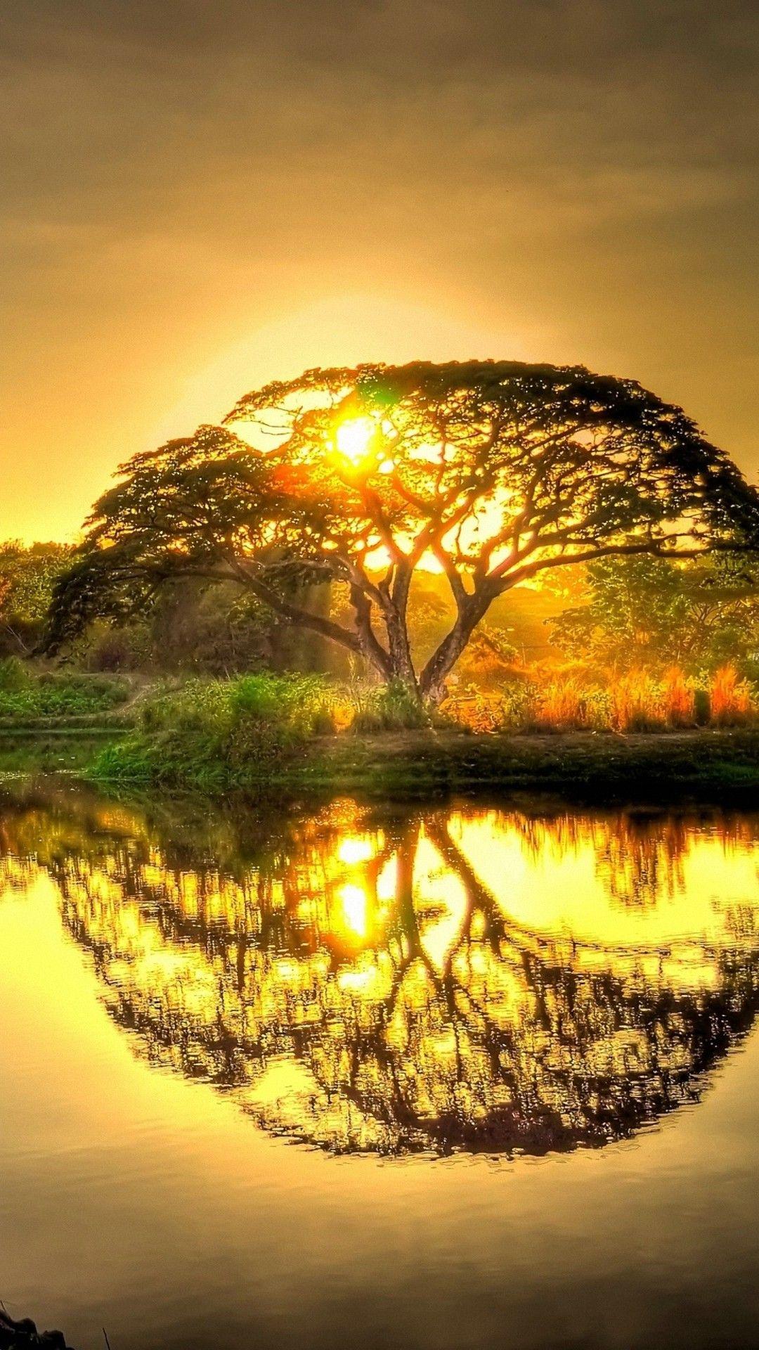 1080x1920 Wallpaper Africa